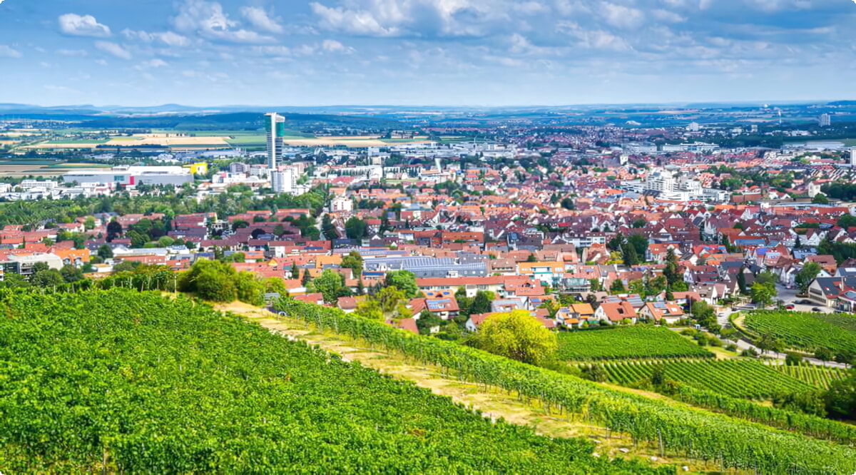 Las mejores opciones de alquiler de coches en Fellbach